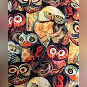 Colorful Minky Owl Pattern Fabric. 2 yards. New
